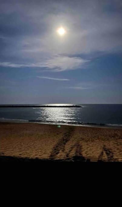 Studio Climatise Proche De Montpellier Et Des Plages Villeneuve-les-Maguelonne Εξωτερικό φωτογραφία